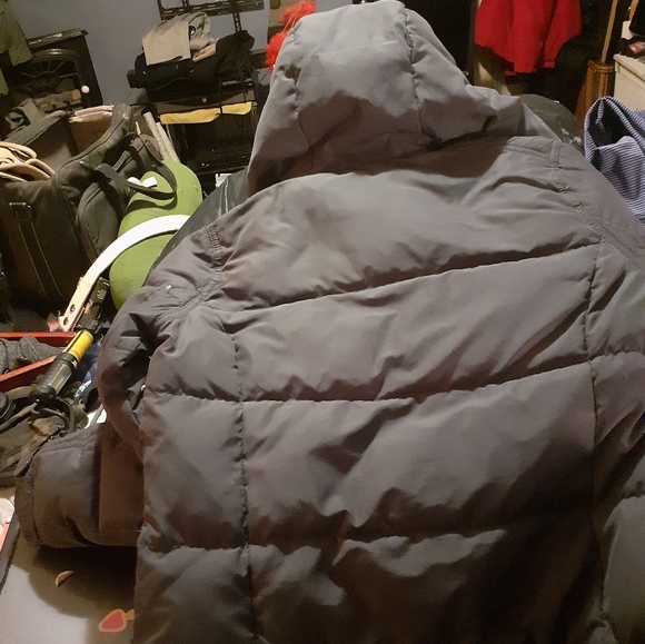 Hollister Jacket - Picture 2 of 3